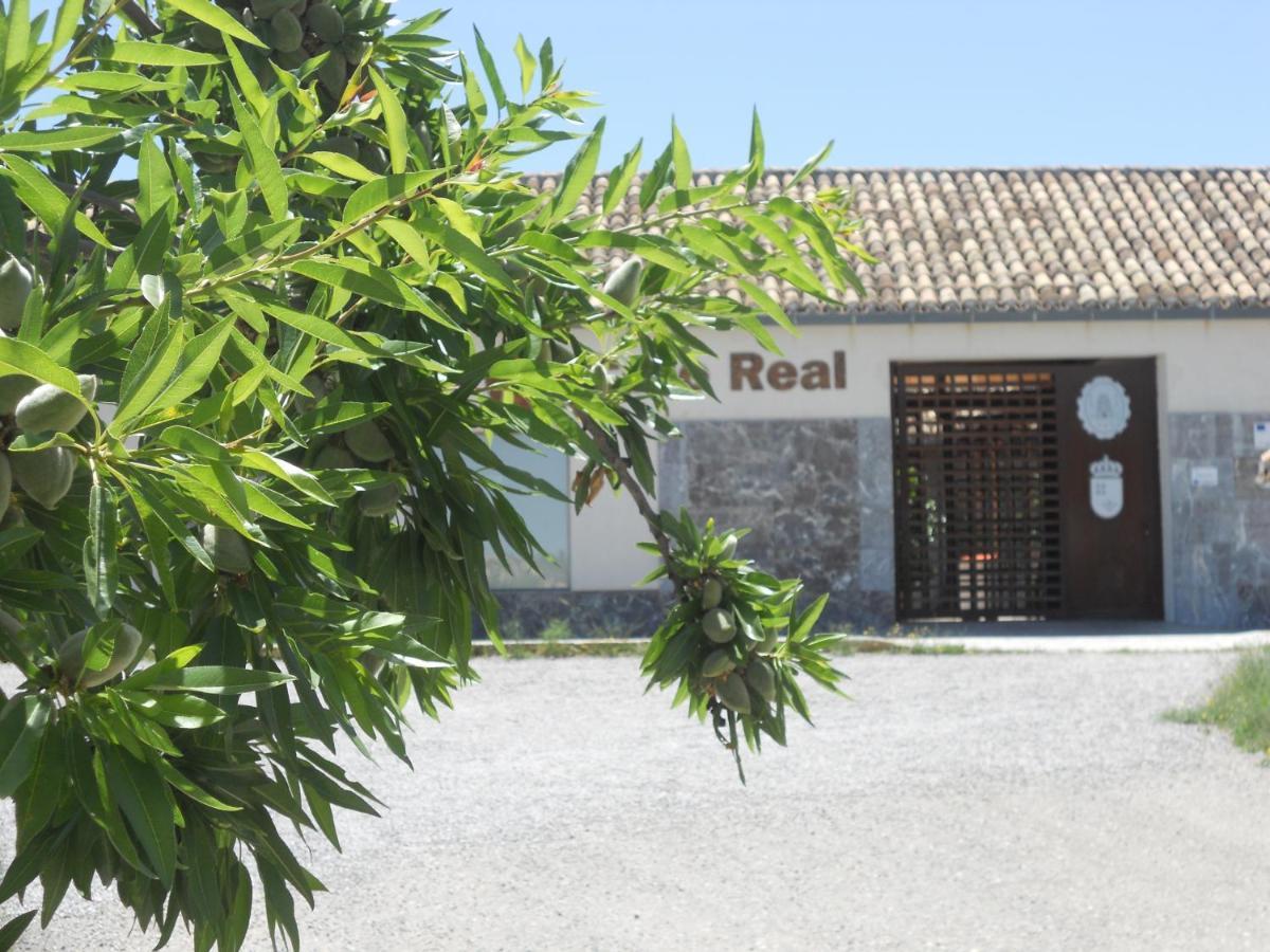 Albergue Coto Real De La Marina Cehegín Zewnętrze zdjęcie