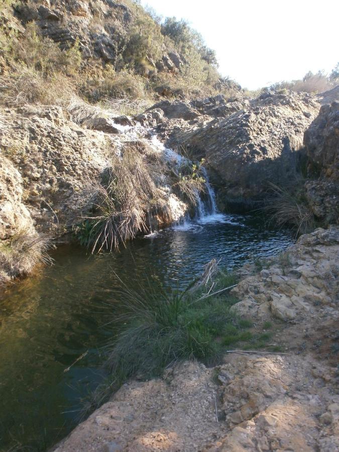 Albergue Coto Real De La Marina Cehegín Zewnętrze zdjęcie